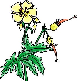 花朵 花草 鮮花 矢量 EPS格式_1093