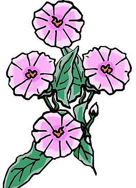 花朵 花草 鮮花 矢量 EPS格式_1092