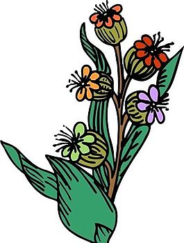 花朵 花草 鮮花 矢量 EPS格式_1068