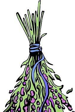花朵 花草 鮮花 矢量 EPS格式_0912