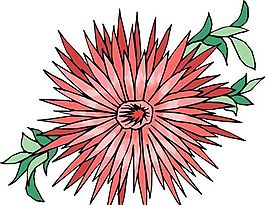 花朵 花草 鮮花 矢量 EPS格式_0813