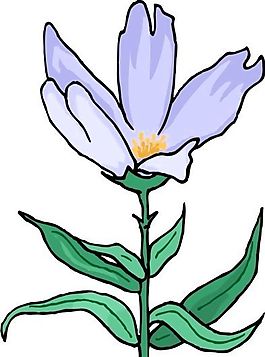 花朵 花草 鮮花 矢量 EPS格式_0802