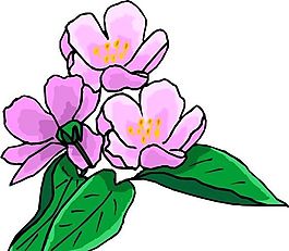 花朵 花草 鮮花 矢量 EPS格式_0781