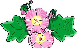 花朵 花草 鮮花 矢量 EPS格式_0780