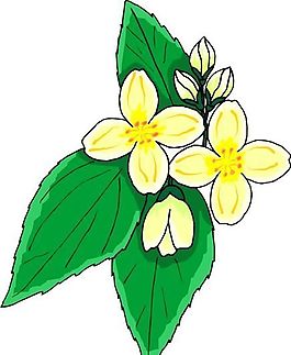 花朵 花草 鮮花 矢量 EPS格式_0768