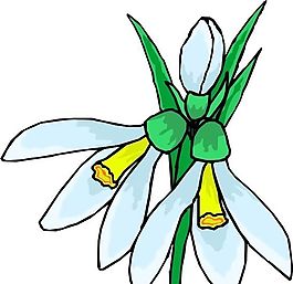 花朵 花草 鮮花 矢量 EPS格式_0765