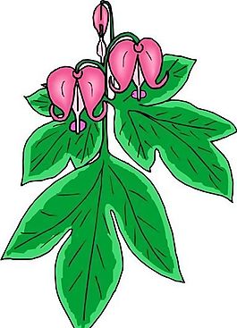花朵 花草 鮮花 矢量 EPS格式_0761