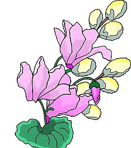 花朵 花草 鮮花 矢量 EPS格式_0757