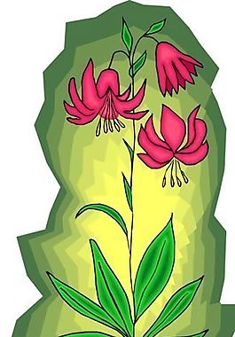 花朵 花草 鮮花 矢量 EPS格式_0716