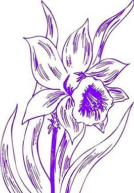 花朵 花草 鮮花 矢量 EPS格式_0598