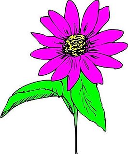 花朵 花草 鮮花 矢量 EPS格式_0597