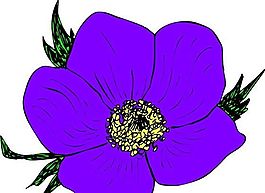 花朵 花草 鮮花 矢量 EPS格式_0591