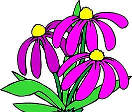 花朵 花草 鮮花 矢量 EPS格式_0586