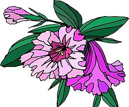 花朵 花草 鮮花 矢量 EPS格式_0580