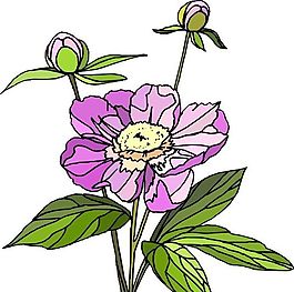 花朵 花草 鮮花 矢量 EPS格式_0579