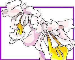 花朵 花草 鲜花 矢量 EPS格式_0514