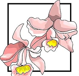 花朵 花草 鮮花 矢量 EPS格式_0513