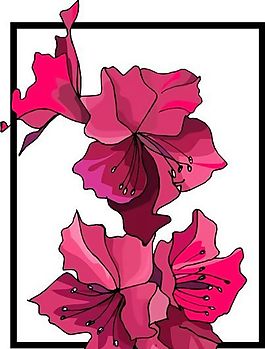 花朵 花草 鮮花 矢量 EPS格式_0507