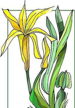 花朵 花草 鮮花 矢量 EPS格式_0501