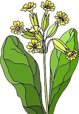 花朵 花草 鮮花 矢量 EPS格式_0496