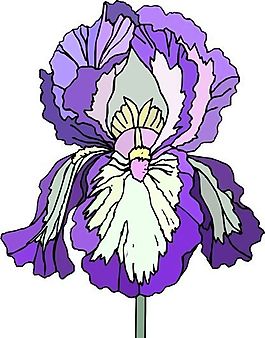 花朵 花草 鮮花 矢量 EPS格式_0492