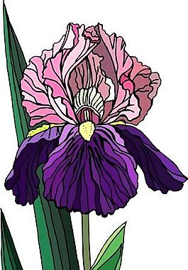 花朵 花草 鮮花 矢量 EPS格式_0491