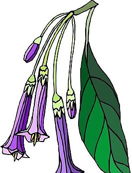 花朵 花草 鮮花 矢量 EPS格式_0489