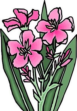 花朵 花草 鮮花 矢量 EPS格式_0486