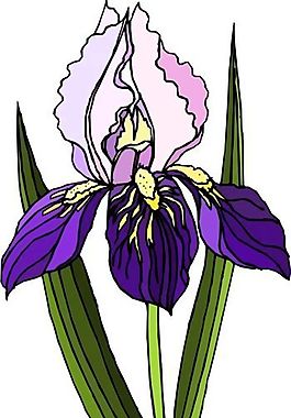 花朵 花草 鮮花 矢量 EPS格式_0481