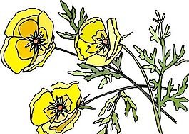 花朵 花草 鮮花 矢量 EPS格式_0418