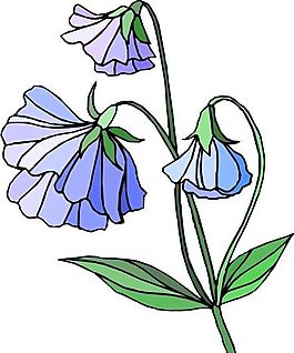 花朵 花草 鮮花 矢量 EPS格式_0417