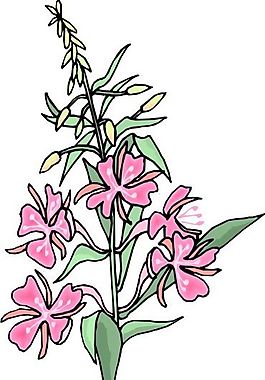 花朵 花草 鮮花 矢量 EPS格式_0415