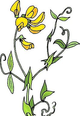 花朵 花草 鮮花 矢量 EPS格式_0412