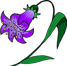 花朵 花草 鮮花 矢量 EPS格式_0405