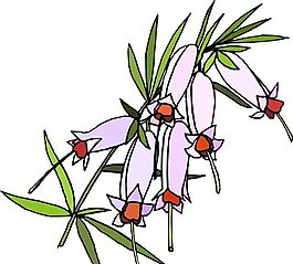 花朵 花草 鮮花 矢量 EPS格式_0403