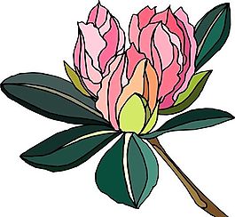 花朵 花草 鮮花 矢量 EPS格式_0398