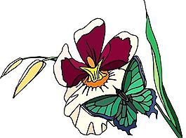 花朵 花草 鮮花 矢量 EPS格式_0394