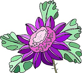 花朵 花草 鮮花 矢量 EPS格式_0391