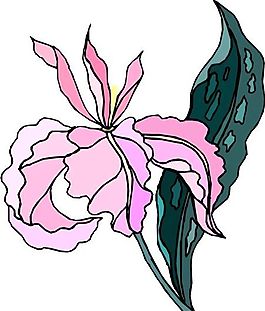 花朵 花草 鮮花 矢量 EPS格式_0390