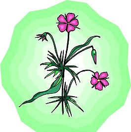 花朵 花草 鮮花 矢量 EPS格式_0384
