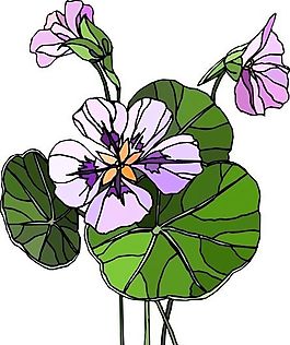 花朵 花草 鮮花 矢量 EPS格式_0377