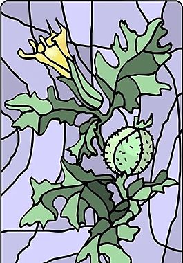 花朵 花草 鮮花 矢量 EPS格式_0316