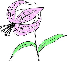 花朵 花草 鮮花 矢量 EPS格式_0255