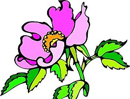 花朵 花草 鮮花 矢量 EPS格式_0153