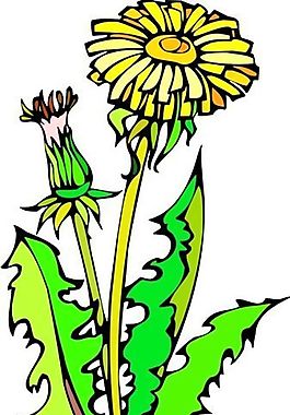 花朵 花草 鮮花 矢量 EPS格式_0133