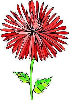 花朵 花草 鮮花 矢量 EPS格式_0122