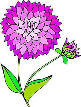 花朵 花草 鮮花 矢量 EPS格式_0121