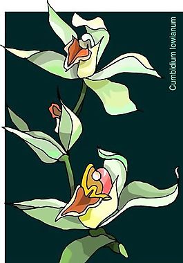 花朵 花草 鮮花 矢量 EPS格式_0112