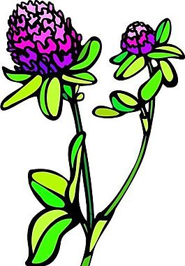 花朵 花草 鮮花 矢量 EPS格式_0100