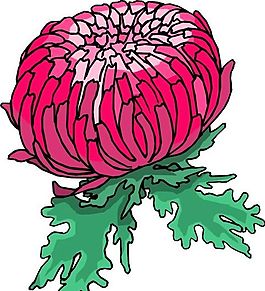 花朵 花草 鮮花 矢量 EPS格式_0097
